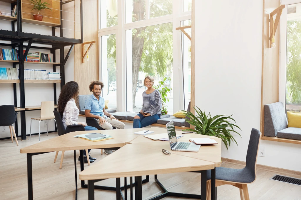 Icon Valley - Espace de coworking